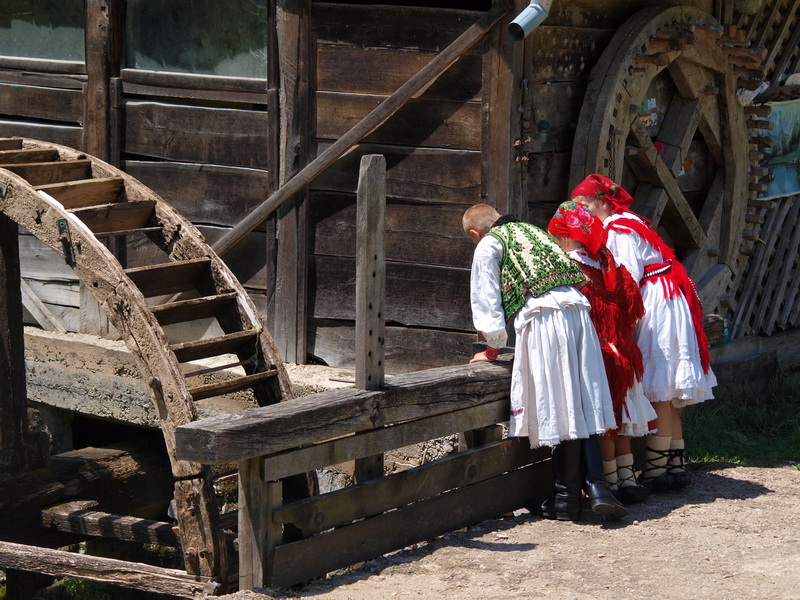 OLYMPUS DIGITAL CAMERA OLYMPUS DIGITAL CAMERA