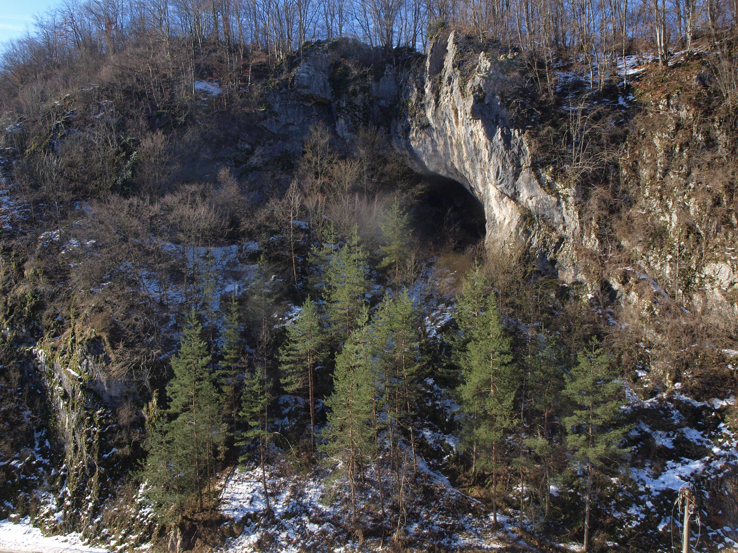 OLYMPUS DIGITAL CAMERA OLYMPUS DIGITAL CAMERA